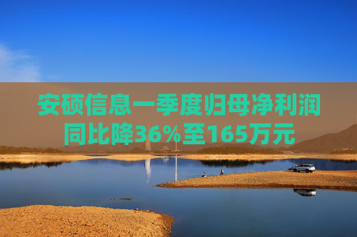 安硕信息一季度归母净利润同比降36%至165万元