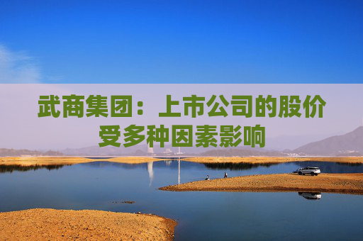 武商集团：上市公司的股价受多种因素影响