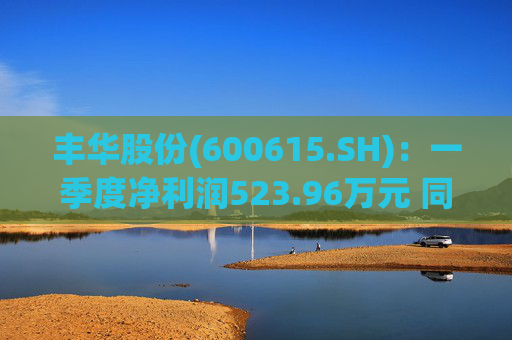 丰华股份(600615.SH)：一季度净利润523.96万元 同比增长645.11%