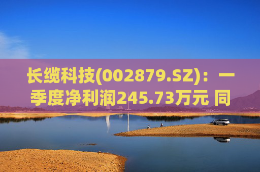 长缆科技(002879.SZ)：一季度净利润245.73万元 同比下降84.88%  第1张