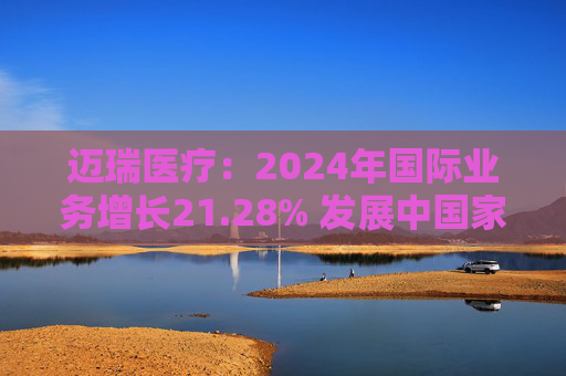 迈瑞医疗：2024年国际业务增长21.28% 发展中国家成重要增长引擎