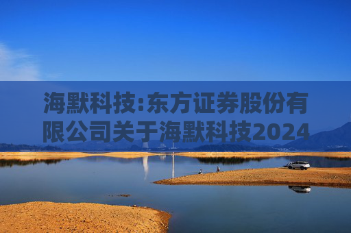 海默科技:东方证券股份有限公司关于海默科技2024年年度持续督导跟踪报告