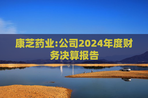 康芝药业:公司2024年度财务决算报告