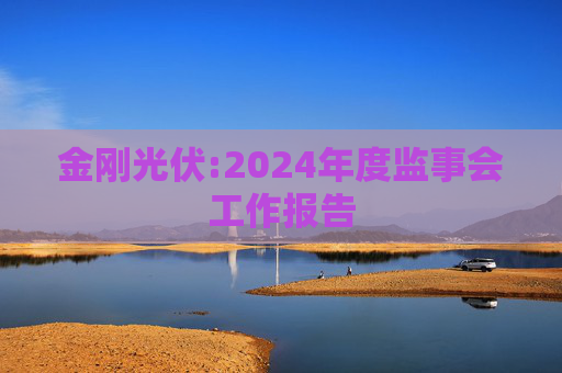 金刚光伏:2024年度监事会工作报告