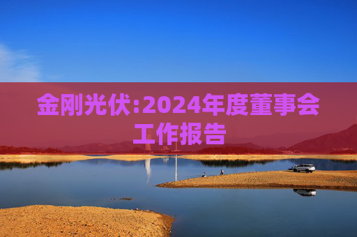 金刚光伏:2024年度董事会工作报告