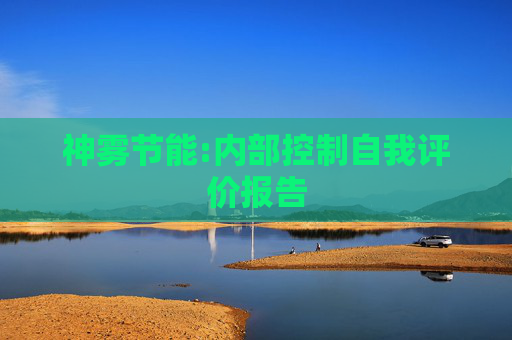 神雾节能:内部控制自我评价报告  第1张