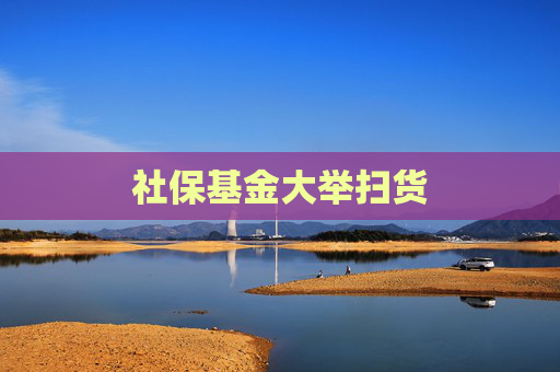 社保基金大举扫货