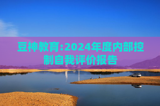 豆神教育:2024年度内部控制自我评价报告