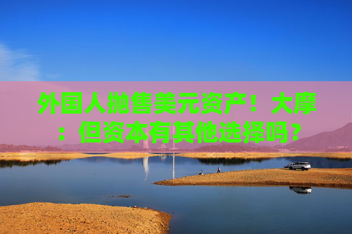 外国人抛售美元资产！大摩：但资本有其他选择吗？