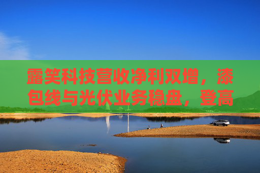 露笑科技营收净利双增，漆包线与光伏业务稳盘，登高机成增长新引擎  第1张