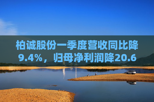 柏诚股份一季度营收同比降9.4%，归母净利润降20.6%