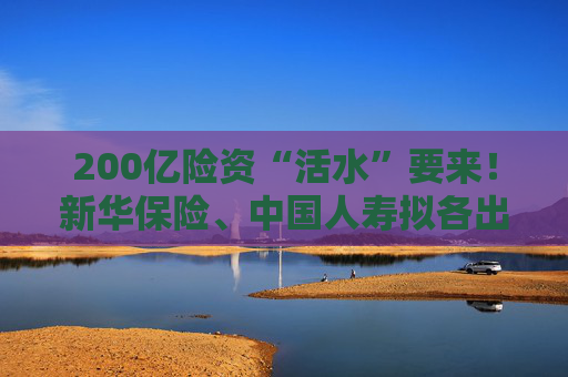 200亿险资“活水”要来！新华保险、中国人寿拟各出资100亿元认购二期鸿鹄基金  第1张