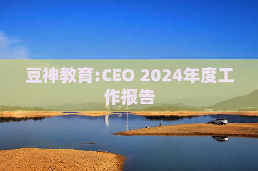 豆神教育:CEO 2024年度工作报告