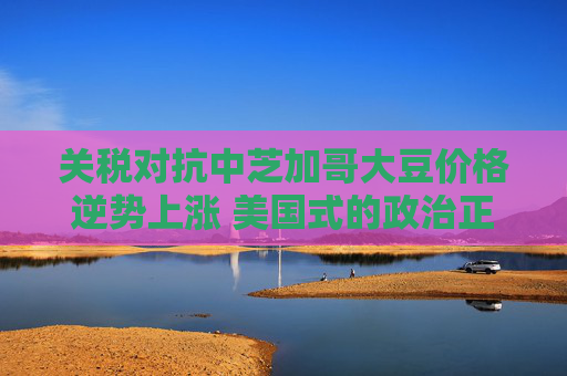 关税对抗中芝加哥大豆价格逆势上涨 美国式的政治正确？  第1张