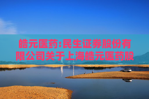 皓元医药:民生证券股份有限公司关于上海皓元医药股份有限公司申请2025年度综合授信及为子公司提供担保的核查意见