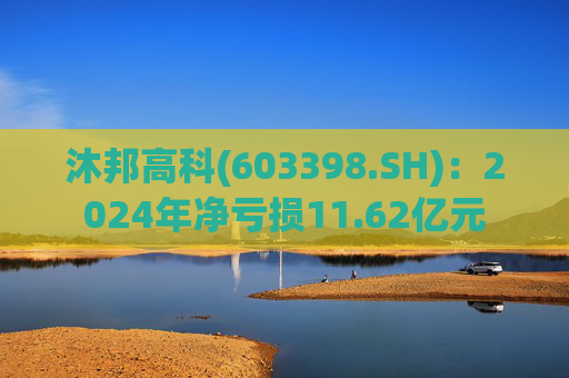沐邦高科(603398.SH)：2024年净亏损11.62亿元