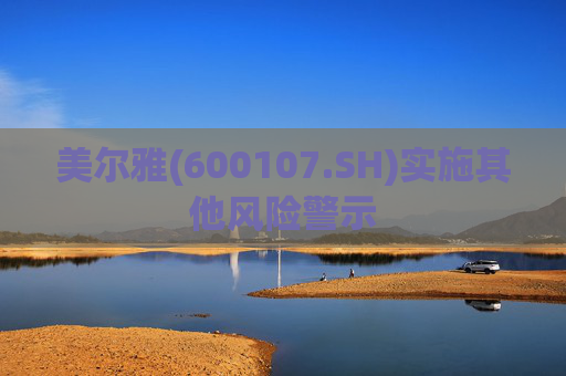 美尔雅(600107.SH)实施其他风险警示  第1张
