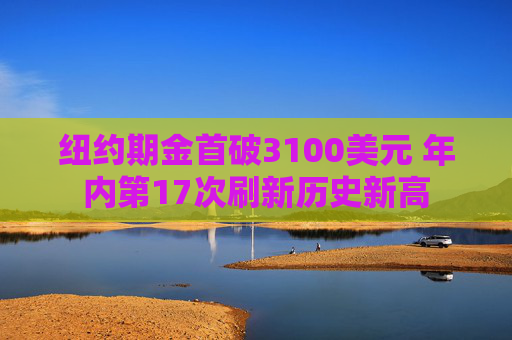 纽约期金首破3100美元 年内第17次刷新历史新高  第1张
