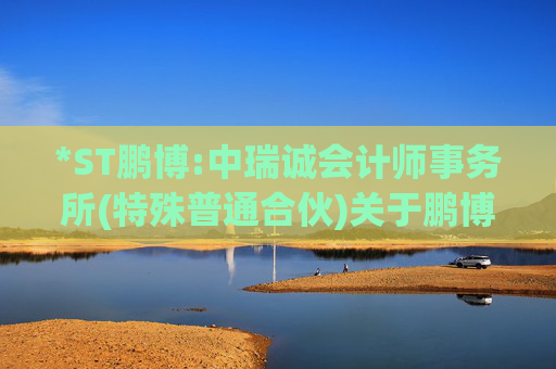 *ST鹏博:中瑞诚会计师事务所(特殊普通合伙)关于鹏博士电信传媒集团股份有限公司2024年度募集资金存放与实际使用情况鉴证报告  第1张