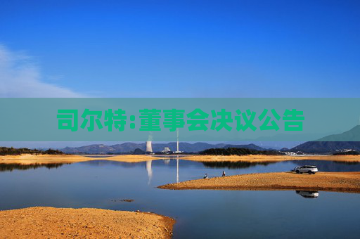 司尔特:董事会决议公告