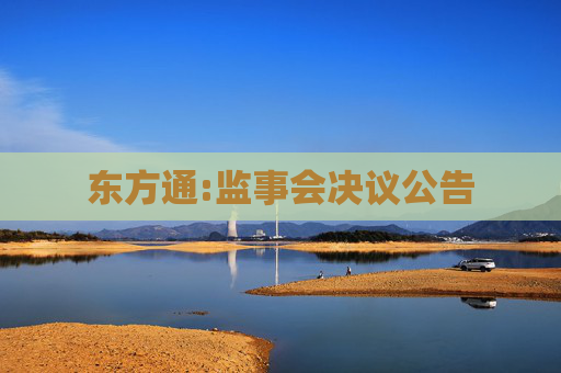 东方通:监事会决议公告