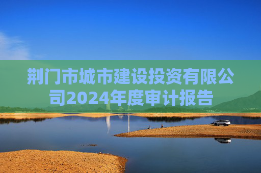 荆门市城市建设投资有限公司2024年度审计报告  第1张