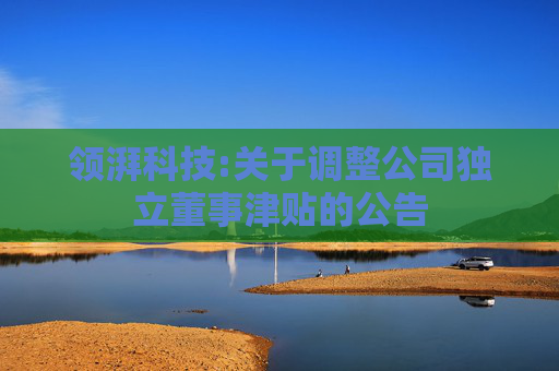 领湃科技:关于调整公司独立董事津贴的公告