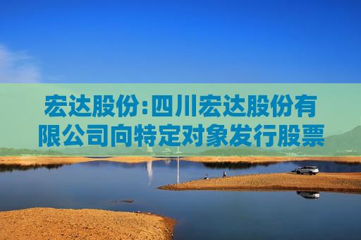 宏达股份:四川宏达股份有限公司向特定对象发行股票募集说明书（申报稿）（修订稿）
