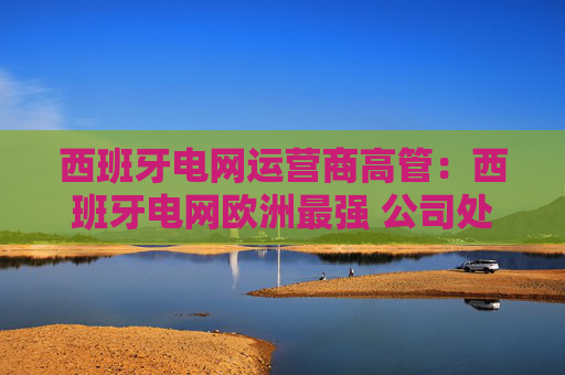 西班牙电网运营商高管：西班牙电网欧洲最强 公司处理方式没任何问题  第1张