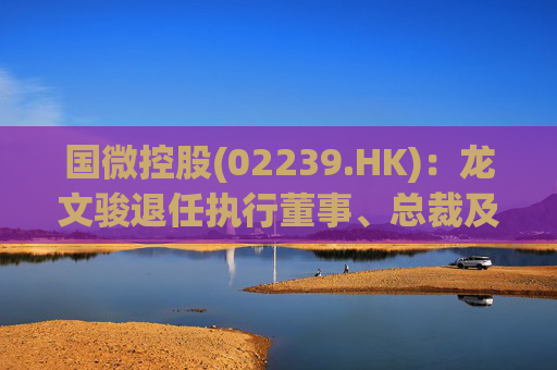国微控股(02239.HK)：龙文骏退任执行董事、总裁及首席财务官职务  第1张