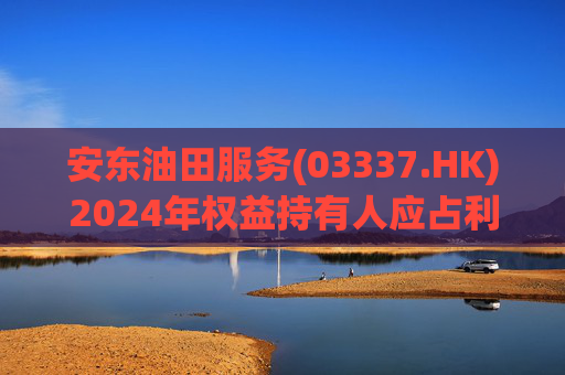 安东油田服务(03337.HK)2024年权益持有人应占利润2.43亿元 同比增长约23.5%