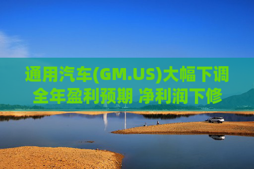 通用汽车(GM.US)大幅下调全年盈利预期 净利润下修至82亿-101亿美元