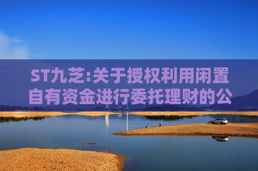 ST九芝:关于授权利用闲置自有资金进行委托理财的公告