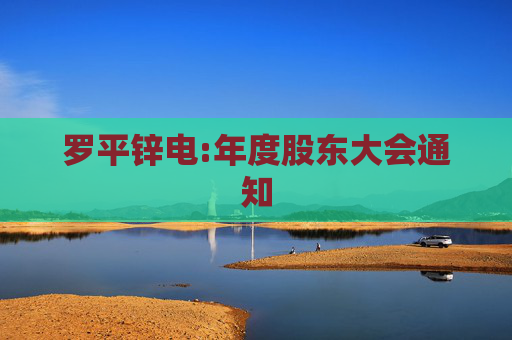 罗平锌电:年度股东大会通知  第1张