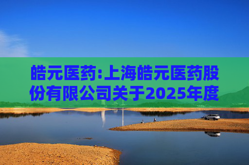 皓元医药:上海皓元医药股份有限公司关于2025年度日常关联交易预计的公告