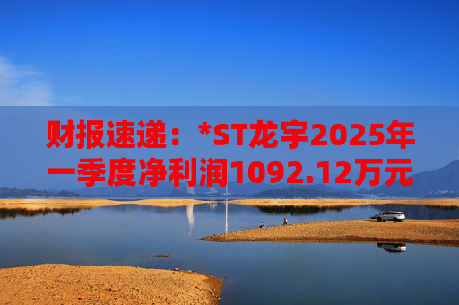 财报速递：*ST龙宇2025年一季度净利润1092.12万元