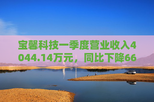 宝馨科技一季度营业收入4044.14万元，同比下降66.73%