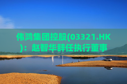 伟鸿集团控股(03321.HK)：赵智华辞任执行董事