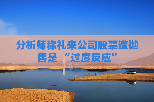 分析师称礼来公司股票遭抛售是 “过度反应”  第1张