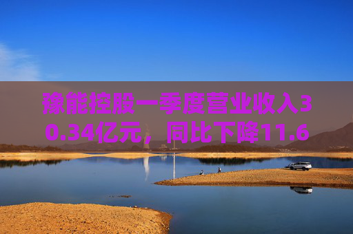 豫能控股一季度营业收入30.34亿元，同比下降11.64%  第1张