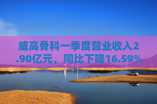 威高骨科一季度营业收入2.90亿元，同比下降16.59%  第1张