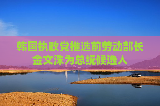 韩国执政党推选前劳动部长金文洙为总统候选人