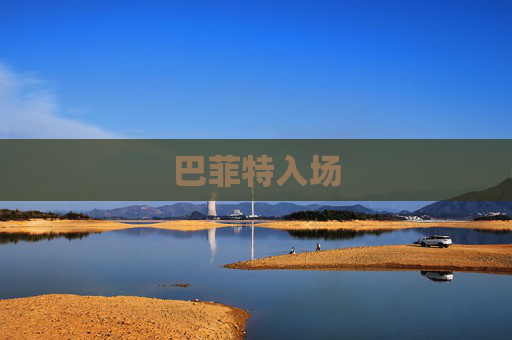 巴菲特入场  第1张