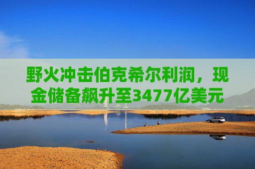 野火冲击伯克希尔利润，现金储备飙升至3477亿美元  第1张