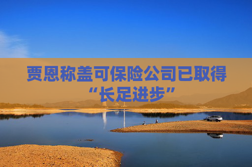 贾恩称盖可保险公司已取得 “长足进步”