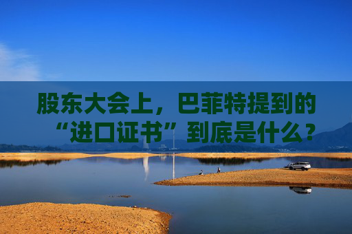 股东大会上，巴菲特提到的“进口证书”到底是什么？  第1张