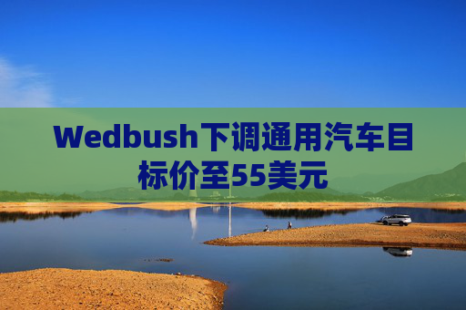 Wedbush下调通用汽车目标价至55美元