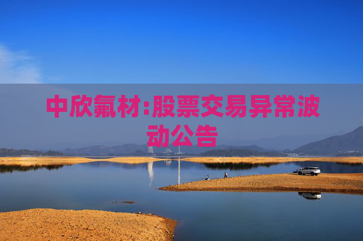 中欣氟材:股票交易异常波动公告