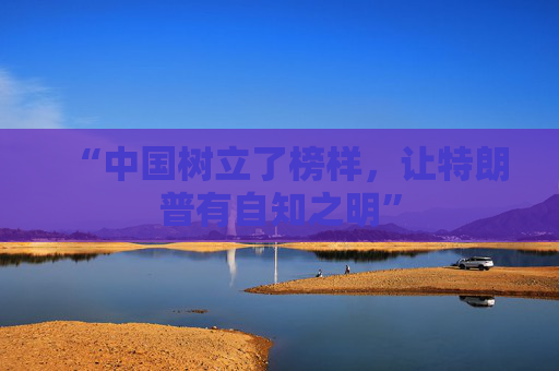 “中国树立了榜样，让特朗普有自知之明”