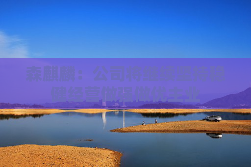 森麒麟：公司将继续坚持稳健经营做强做优主业